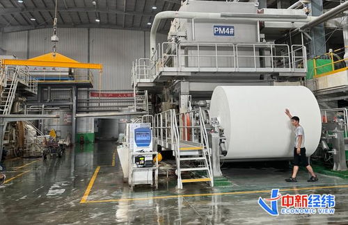 探訪 華北紙都 不打價(jià)格戰(zhàn),造紙廠還能 卷 什么