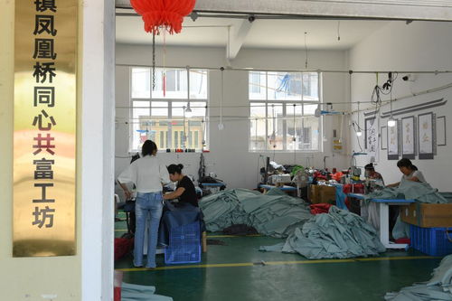 村里建起“沒有圍墻的工廠”——浙江臨?！肮哺还し弧币约夹g服務助力農民家門口就業增收